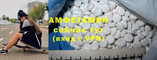 сатива Алзамай