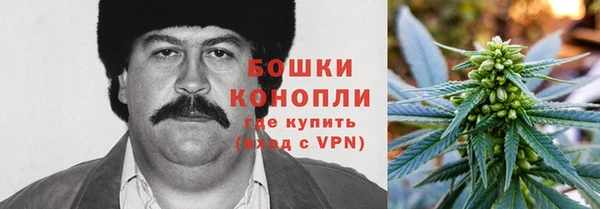 бошки Алексин