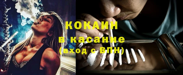 сатива Алзамай