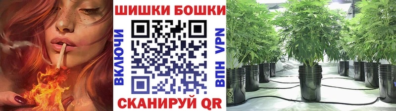 купить наркотик  Любим  МЕГА ссылка  Бошки Шишки SATIVA & INDICA 